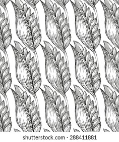 wheat grass