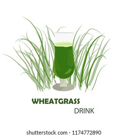 Wheat grass drink. Healthy way of living. 