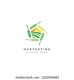 Wheat Grass Farming Logo Vector Symbol Icon Pentagon Design Graphic Illustration