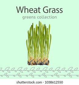 The wheat grass image isolated on a light green background. Greens collection. Vector illustration