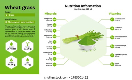 Wheat grass and its nutritional properties -Vector illustration