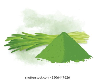 Wheat Grass-Vector illustration with powder