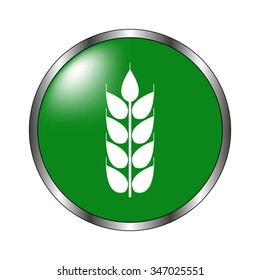 wheat -  green vector icon
