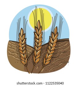 Wheat growing on field. Vector illustration in hand drawn style, isolated on white background for design of packaging, labels and much more.