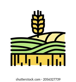 wheat growth field color icon vector. wheat growth field sign. isolated symbol illustration