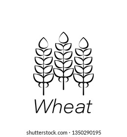 wheat hand draw icon. Element of farming illustration icons. Signs and symbols can be used for web, logo, mobile app, UI, UX