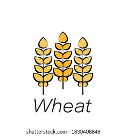 wheat hand draw icon. Element of farming illustration icons. Signs and symbols can be used for web, logo, mobile app, UI, UX