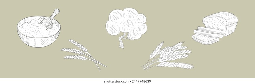 Wheat Hand Drawn Element and Items Sketch Vector Set