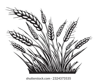 Wheat hand drawn sketch field Vector illustration