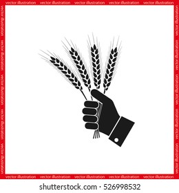 Wheat in hand icon vector illustration EPS 10