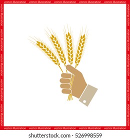 Wheat in hand icon vector illustration EPS 10