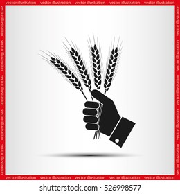 Wheat in hand icon vector illustration EPS 10