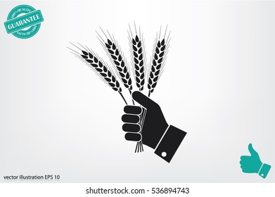 Wheat in hand icon vector illustration EPS 10