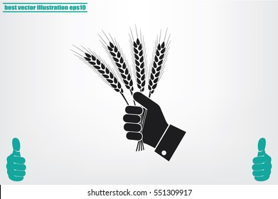 Wheat in hand icon vector illustration.