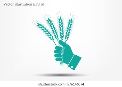 Wheat in hand icon vector illustration.