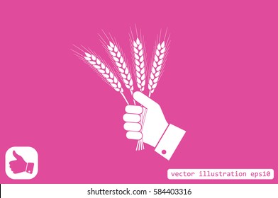 Wheat in hand icon vector illustration.