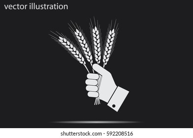 Wheat in hand icon vector illustration.