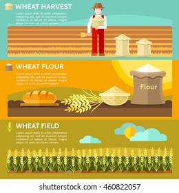 Wheat  harvest. Farmer hand keep  wheat spikelet. Vector illustration.
