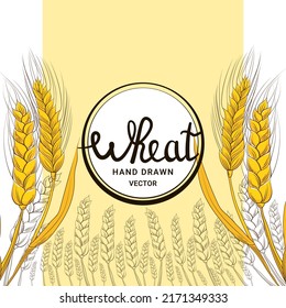 Wheat harvest in hand drawn style with lettering for bakery shop or flour packaging design on white background