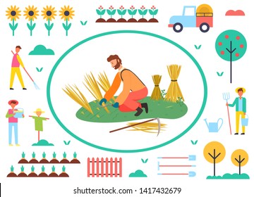 Wheat harvesting vector, agriculture and farming, farmer working on field, scarecrow and tree with ripe fruits, male with instruments on farm and plantation