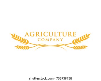 wheat healthy agriculture grain logo