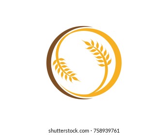 wheat healthy agriculture grain logo