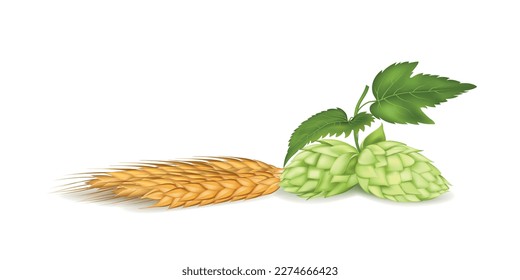 Wheat and hop composition, barley malt for beer packaging. Realistic grain, plant leaf, ear ingredients for cereal, brewery label, green botany. Agriculture elements. Vector 3d illustration