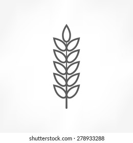 wheat icon