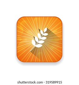 wheat  icon