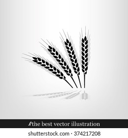 wheat icon