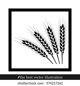 wheat icon