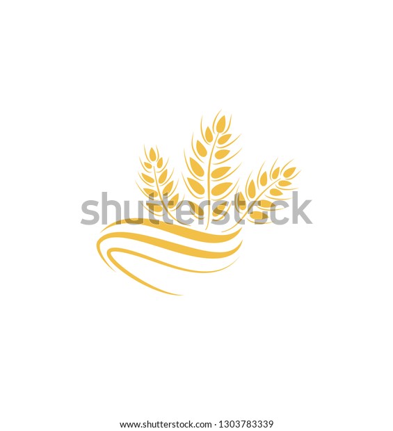 Wheat icon. agriculture farm logo. natural product\
grain sign
