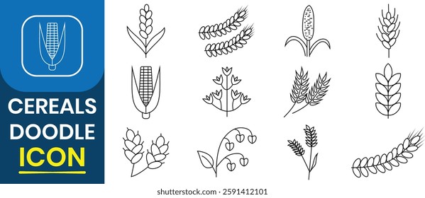 Wheat icon collection. Cereals doodle including icon. Cereal sketch, healthy breakfast food, pearl millet, agriculture, barley, rice, maize, timothy grass, buckwheat, nature. Vector illustration.