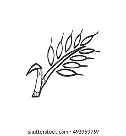 Wheat icon in doodle sketch lines. Cereal seeds baking gluten harvest