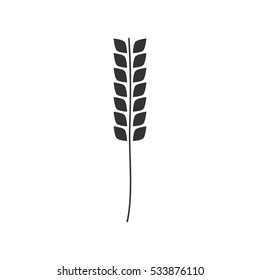 Wheat icon flat. Illustration isolated on white background. Vector grey sign symbol
