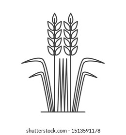 wheat icon in flat style isolated. Vector Symbol illustration.