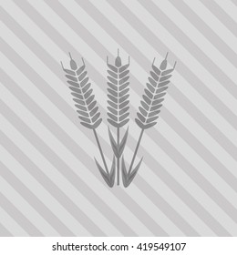 Wheat icon. grain design. Agriculture concept