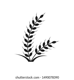 Wheat icon. Graphic template. Vector illustration