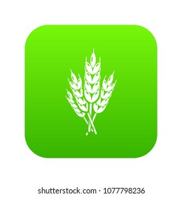 Wheat icon green vector isolated on white background