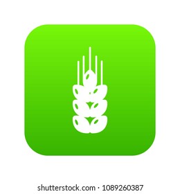 Wheat icon green vector isolated on white background