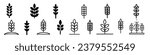 wheat icon, Grey Cereals icons set with rice, wheat, corn, oats, Vector farm wheat ears icons, Gluten free icon, grain logo. Icon bakery. Spike wheat. Bread grain