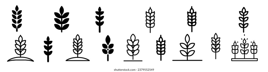 wheat icon, Grey Cereals icons set with rice, wheat, corn, oats, Vector farm wheat ears icons, Gluten free icon, grain logo. Icon bakery. Spike wheat. Bread grain