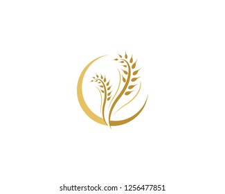 Wheat icon illustration