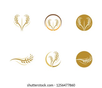 Wheat icon illustration