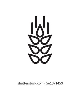 wheat icon illustration