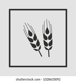 Wheat icon, isolated. Flat design.