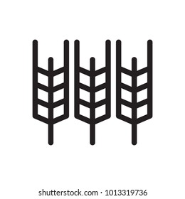 Wheat Icon Isolated on White Background