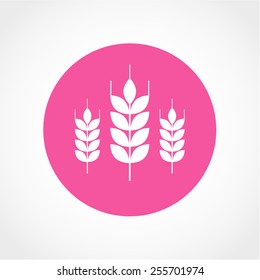 Wheat Icon Isolated on White Background