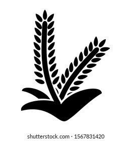 wheat icon isolated sign symbol vector illustration - high quality black style vector icons
