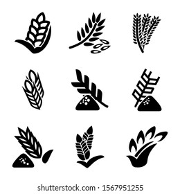 wheat icon isolated sign symbol vector illustration - Collection of high quality black style vector icons
